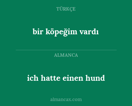 bir köpeğim vardı - ich hatte einen hund