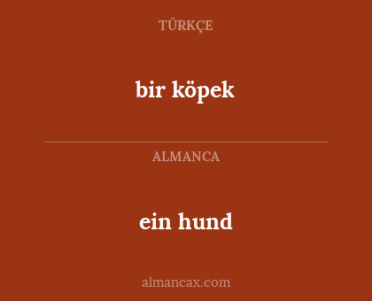 bir köpek - ein hund