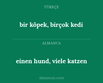 bir köpek, birçok kedi - einen hund, viele katzen