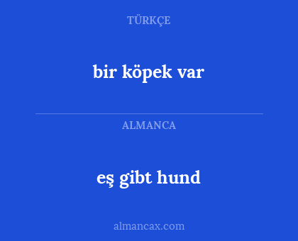 bir köpek var - eş gibt hund