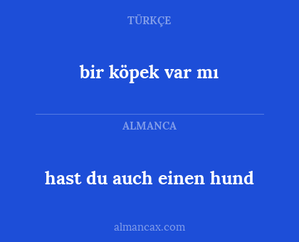 bir köpek var mı - hast du auch einen hund