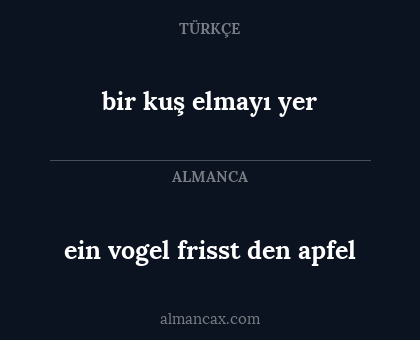 bir kuş elmayı yer - ein vogel frisst den apfel