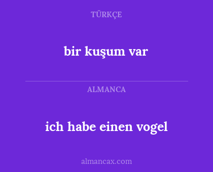 bir kuşum var - ich habe einen vogel