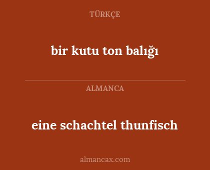 bir kutu ton balığı - eine schachtel thunfisch