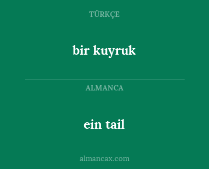 bir kuyruk - ein tail