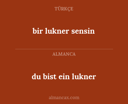 du bist ein lukner - bir lukner sensin