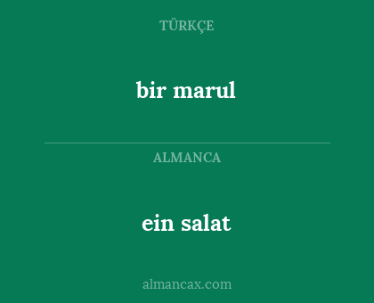ein salat - bir marul