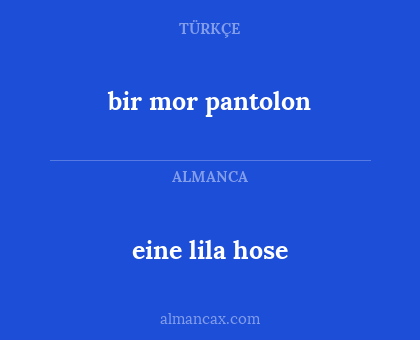 eine lila hose - bir mor pantolon