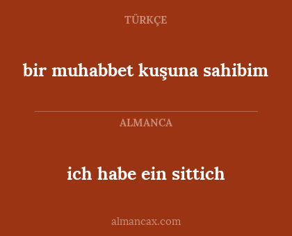 ich habe ein sittich - bir muhabbet kuşuna sahibim