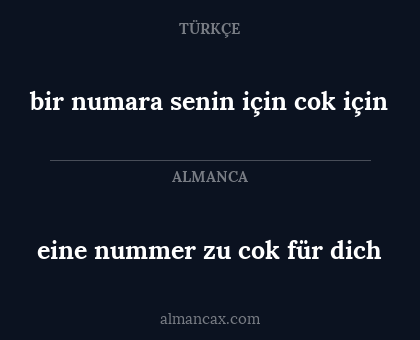 eine nummer zu cok für dich - bir numara senin için cok için
