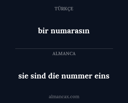 bir numarasın - sie sind die nummer eins