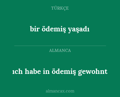 bir ödemiş yaşadı - ıch habe in ödemiş gewohnt