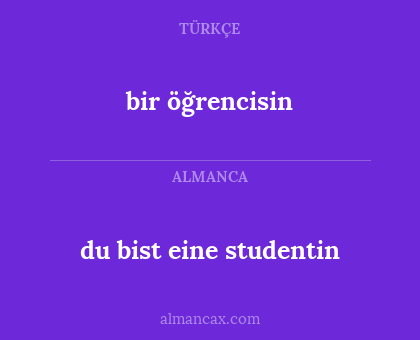 du bist eine studentin - bir öğrencisin