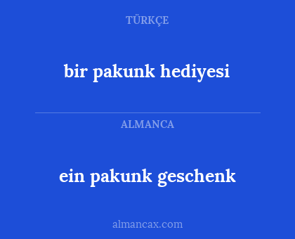 bir pakunk hediyesi - ein pakunk geschenk