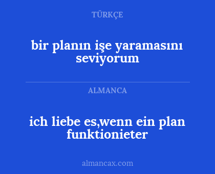 ich liebe es,wenn ein plan funktionieter - bir planın işe yaramasını seviyorum