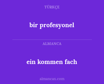 bir profesyonel - ein kommen fach