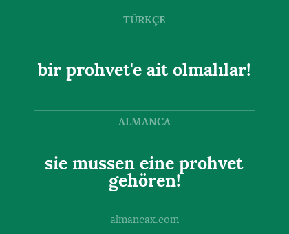 bir prohvet'e ait olmalılar! - sie mussen eine prohvet gehören!