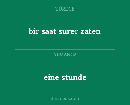 bir saat surer zaten - eine stunde