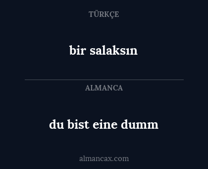 du bist eine dumm - bir salaksın