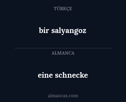 eine schnecke - bir salyangoz