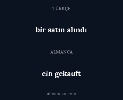 ein gekauft - bir satın alındı