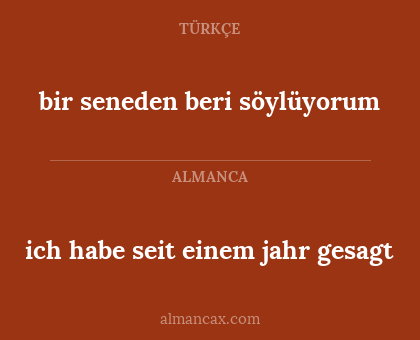 bir seneden beri söylüyorum - ich habe seit einem jahr gesagt