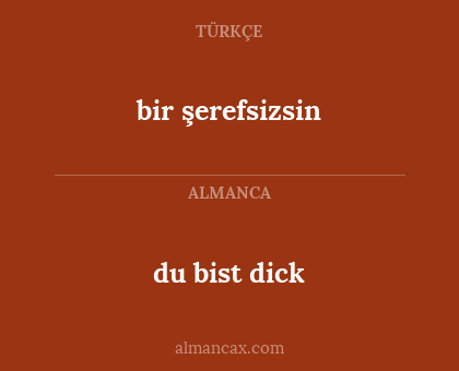 bir şerefsizsin - du bist dick