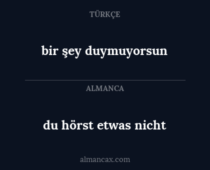 bir şey duymuyorsun - du hörst etwas nicht