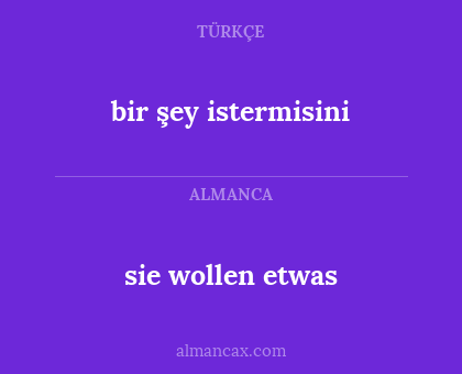 sie wollen etwas - bir şey istermisini