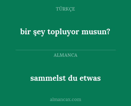 bir şey topluyor musun? - sammelst du etwas