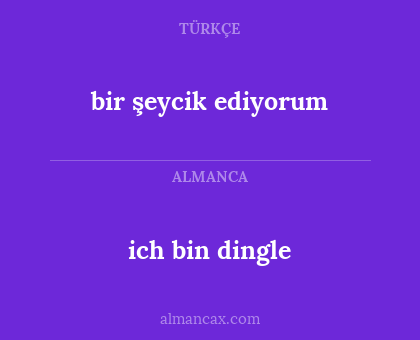 ich bin dingle - bir şeycik ediyorum