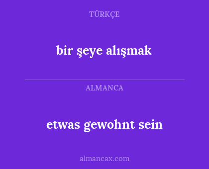 etwas gewohnt sein - bir şeye alışmak