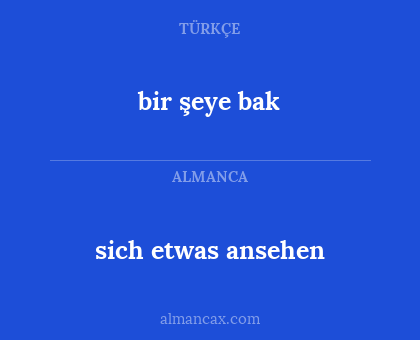 bir şeye bak - sich etwas ansehen