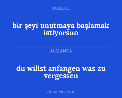 bir şeyi unutmaya başlamak istiyorsun - du willst anfangen was zu vergessen