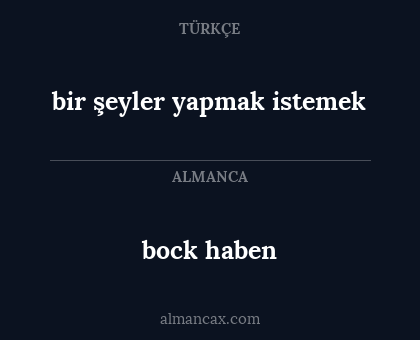 bock haben - bir şeyler yapmak istemek