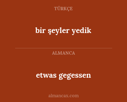 etwas gegessen - bir şeyler yedik
