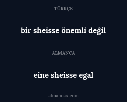 bir sheisse önemli değil - eine sheisse egal