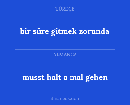 bir süre gitmek zorunda - musst halt a mal gehen