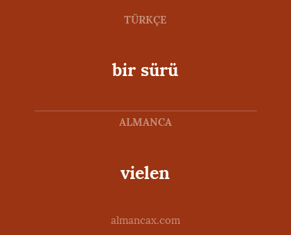 vielen - bir sürü