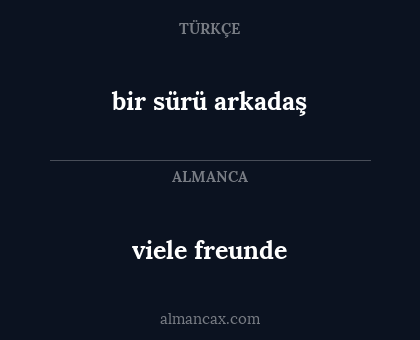bir sürü arkadaş - viele freunde