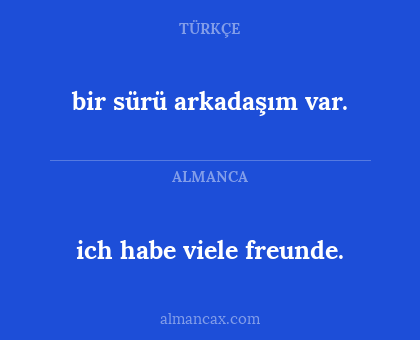 ich habe viele freunde. - bir sürü arkadaşım var.