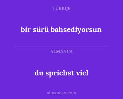 bir sürü bahsediyorsun - du sprichst viel