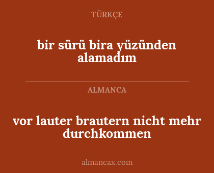 bir sürü bira yüzünden alamadım - vor lauter brautern nicht mehr durchkommen