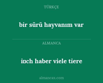 bir sürü hayvanım var - i̇ch haber viele tiere