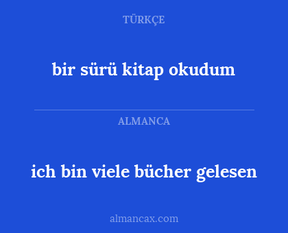 bir sürü kitap okudum - ich bin viele bücher gelesen
