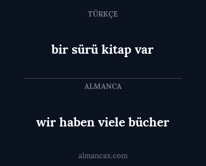 bir sürü kitap var - wir haben viele bücher