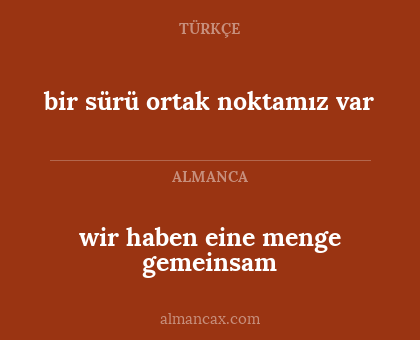 wir haben eine menge gemeinsam - bir sürü ortak noktamız var