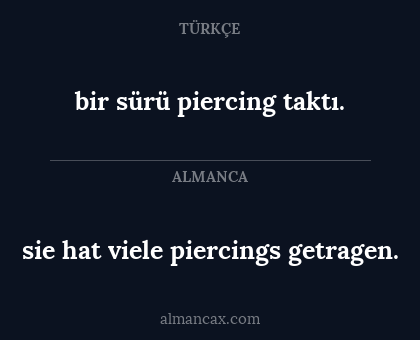bir sürü piercing taktı. - sie hat viele piercings getragen.