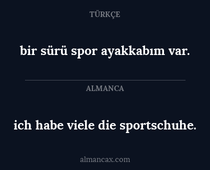 ich habe viele die sportschuhe. - bir sürü spor ayakkabım var.
