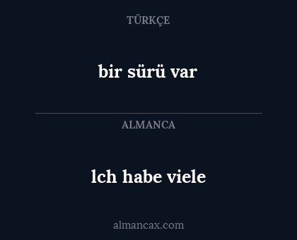 bir sürü var - lch habe viele